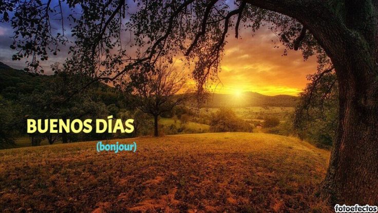 BUENOS DIAS